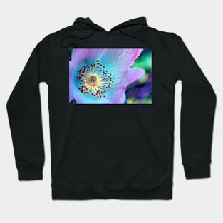 Colourful Wild Rose Hoodie